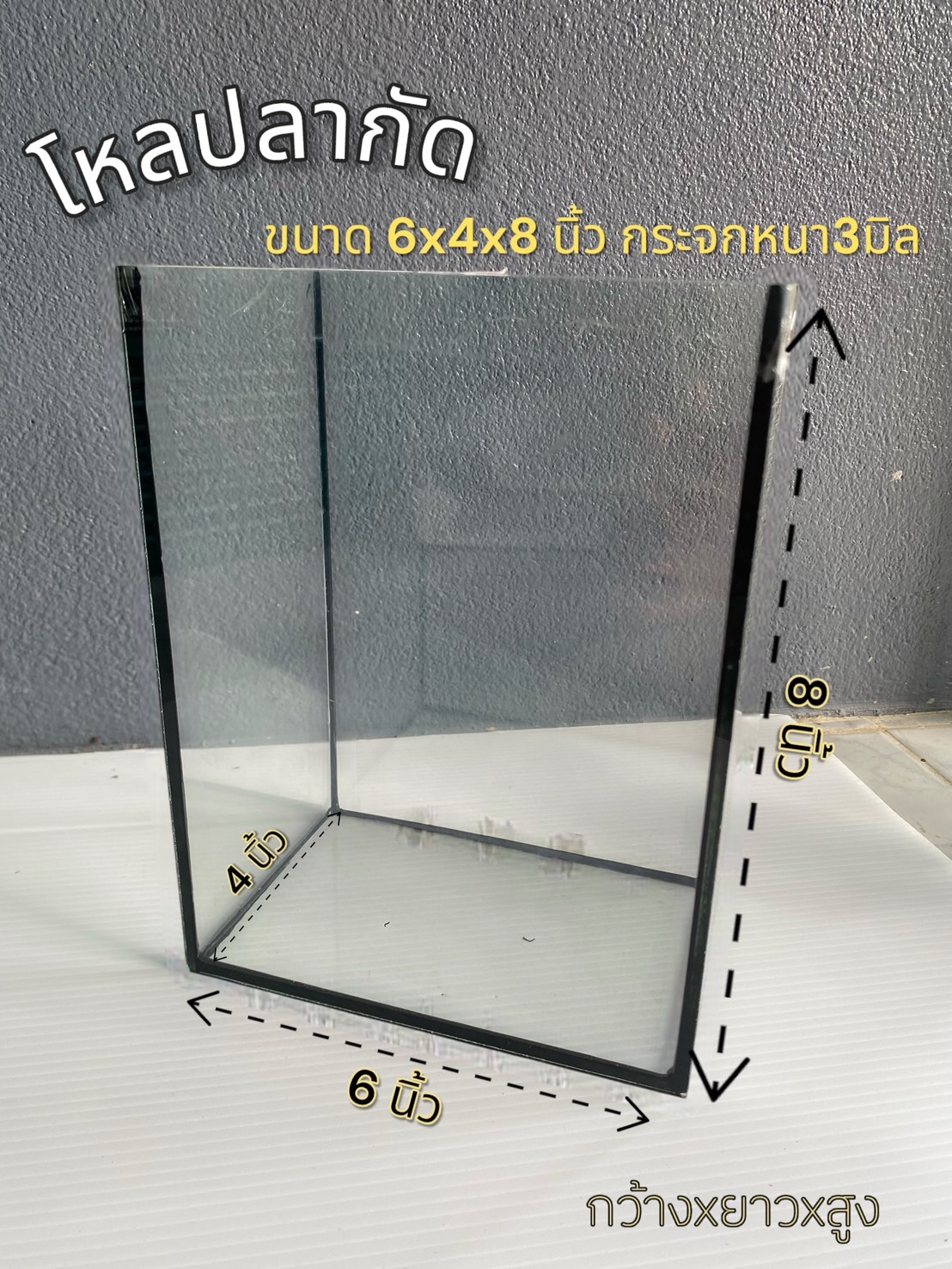 โหลปลากัด 6x4x8 นิ้ว (1 ใบ)