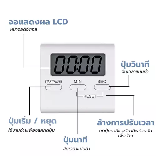 53750323