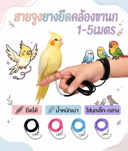 𓅇สายจูงนก เชือกจูงนก สายคล้องนก เชือกผูกนกหัดบิน 1-5เมตร (ไม่มีห่วง)