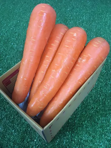 แครอทนอก  - มีใบรับรองปลอดสาร คั้นน้ำอร่อย แครอทนำเข้า แครอทหวาน Carrot