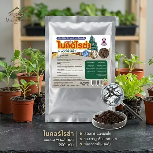 ไมคอร์ไรซ่า (Mycorrhiza) เชื้อราไมคอร์ไรซ่า ขนาดบรรจุ 200 กรัม