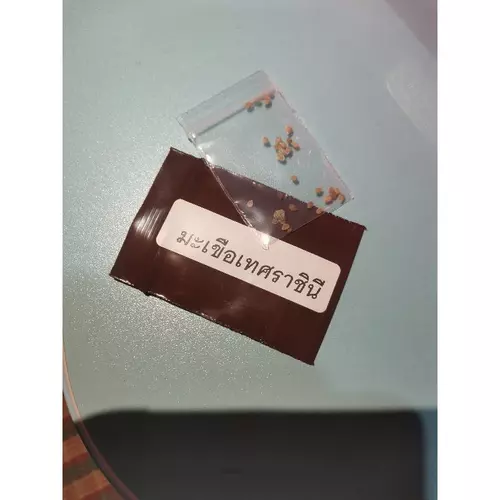 357857729