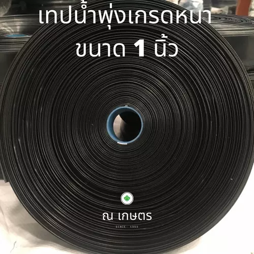 111781
