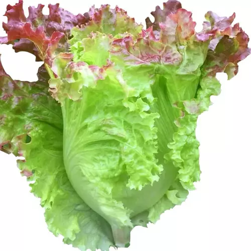 267324