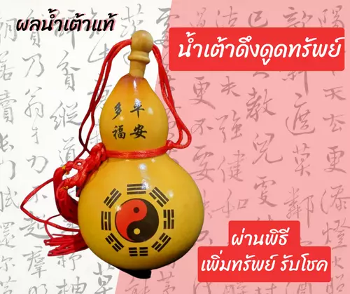 น้ำเต้าเสริมฮวงจุ้ย เป็นมงคล สำหรับบ้าน ร้านค้า ผลน้ำเต้าแท้ น้ำเต้าดูดทรัพย์ วัตถุมงคล