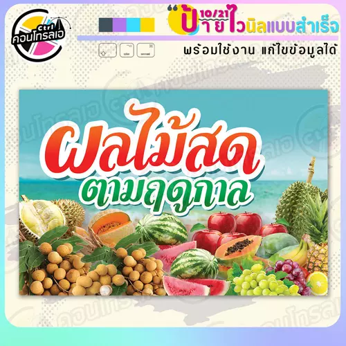 ป้ายไวนิล พร้อมใช้ "ผลไม้ตามฤดูกาล โทนสีฟ้า" แบบสำเร็จรูป ไม่ต้องรอ ออกแบบให้แล้ว แนวนอน พิมพ์ 1 หน้า ผ้าหลังขาว