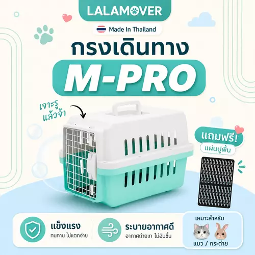 LALAMOVER กรงเดินทางสัตว์เลี้ยง ไซส์ M รุ่น Pro 32x47x32 ซม. | กรงแมว กรงสุนัขเล็ก ดีไซน์ใหม่ แข็งแรงพิเศษ แถมแผ่นปูพื้น