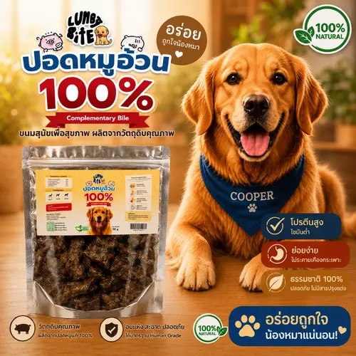 Lunggy Bite ขนาด 20 กรัม ปอดหมูอบแห้ง สำหรับน้องหมา เกรดพรีเมียม (Home Made)
