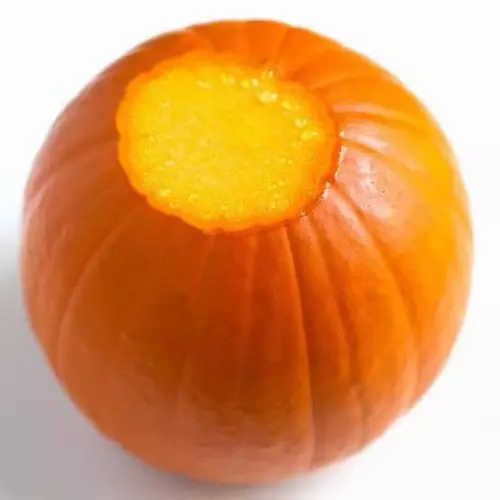 53265169