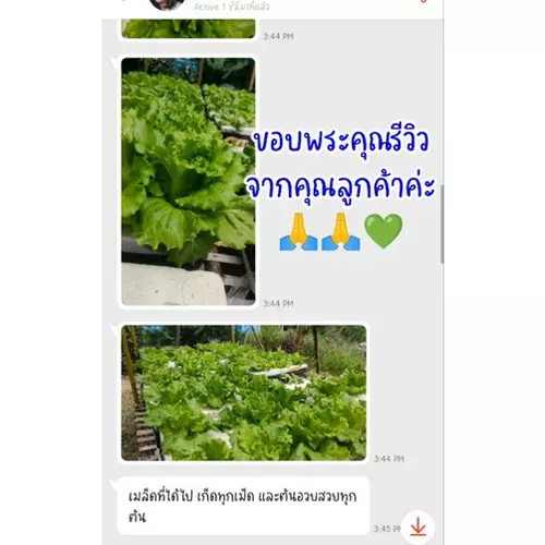 357922427