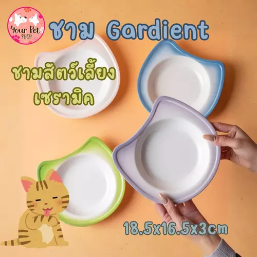 ชามเซรามิคสัตว์เลี้ยง แมว หมา Gardient ไล่สี 18.5x16.5x3cm จานอาหารแมว Bowl