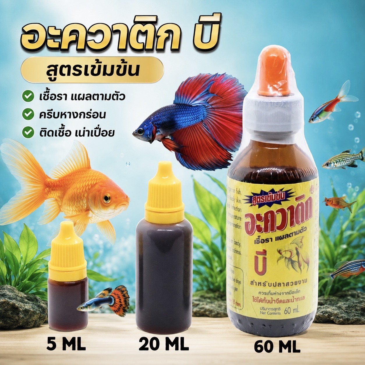 อะควาติก บี เชื้อรา แผลตามตัว ครีบหางกร่อน ตกเลือด เกร็ดตั้ง