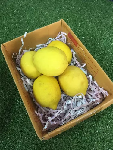 เลม่อนมะนาวเหลือง Lemon ปลอดสาร🍋 -  ผักผลไม้สดนำเข้า มะนาวเหลือง ลูกเลม่อนสด ผลเลม่อน เลมอน