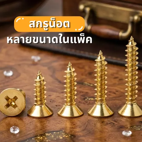 [พร้อมส่ง] สกรูน็อตสีทองเหลือง (คละหลายขนาดในแพ็ค) น็อตเกลียวปล่อย สกรูเกลียวคม ยึดแน่น ไม่เป็นสนิม งานไม้ งานDIY งานเฟอร์นิเจอร์