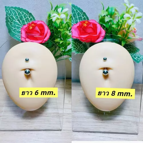 57270045