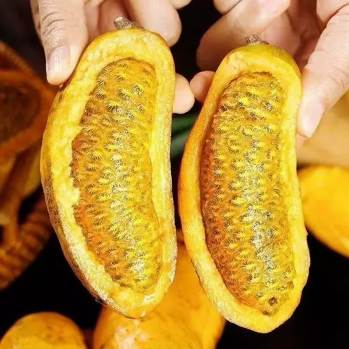 92756