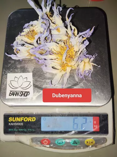 68686514