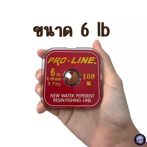 54616