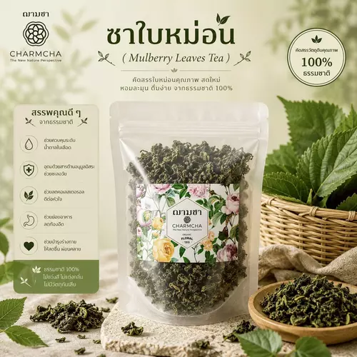 ชาใบหม่อน (Mulberry Leaves Tea)  ใบชา ฌามชา Charmcha ใบม่อน