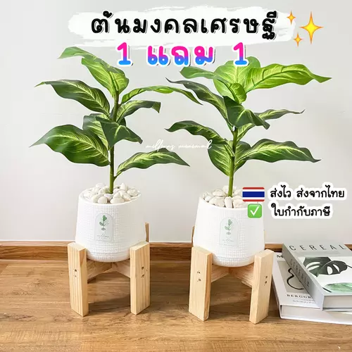 (🔥ส่งด่วน) 1แถม1 ต้นไม้ปลอม ความสูง 40-50 cm. แต่งบ้านพร้อมกระถางใครไม่มีเวลาดูแล ต้องโดนตกนะจ๊ะ ฟรีหินโรย!!