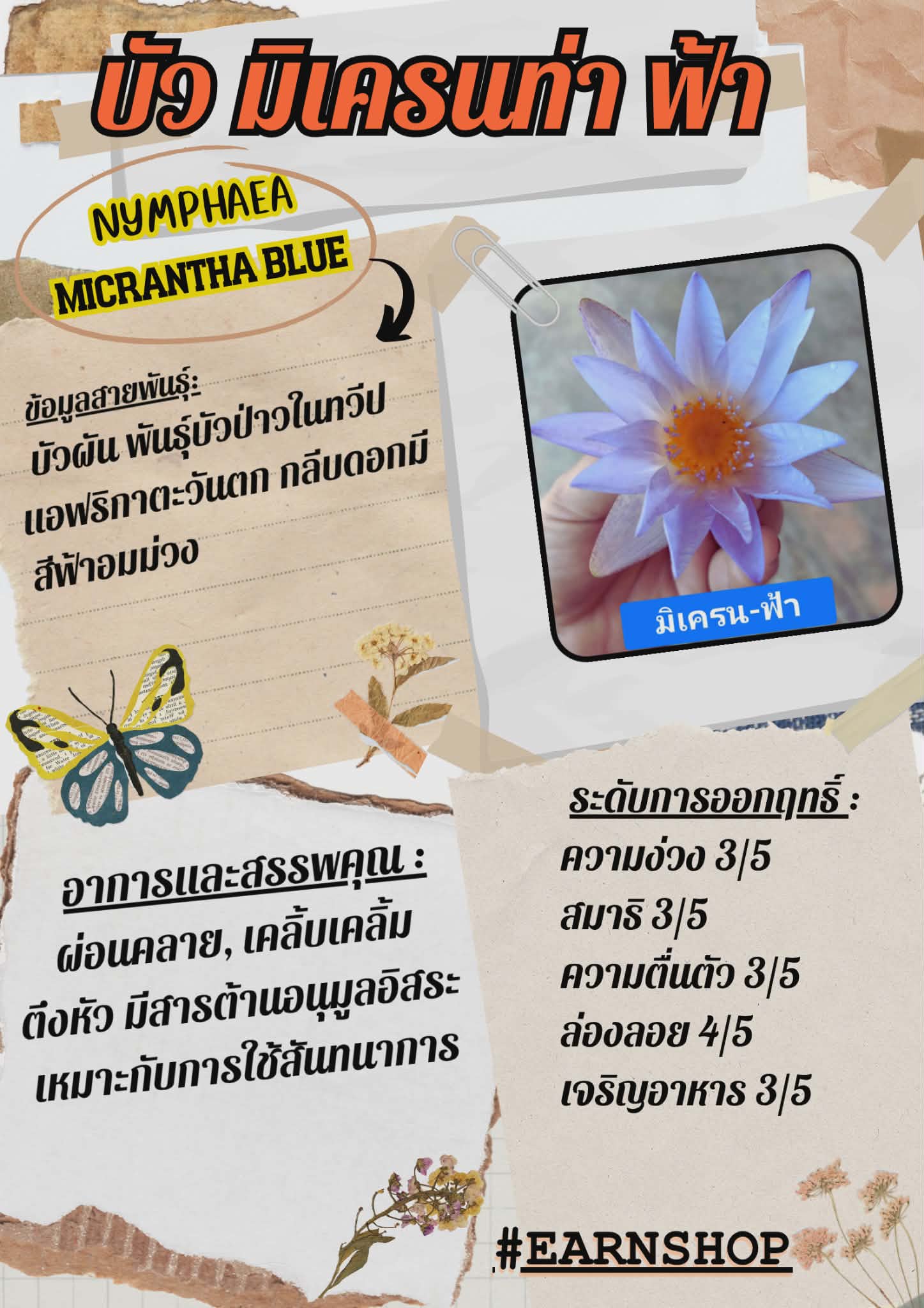 บัวอบแห้งมิเครนท่าฟ้า ขนาด1-10กรัม สันทนาการ ผ่อนคลาย ปาร์ตี้