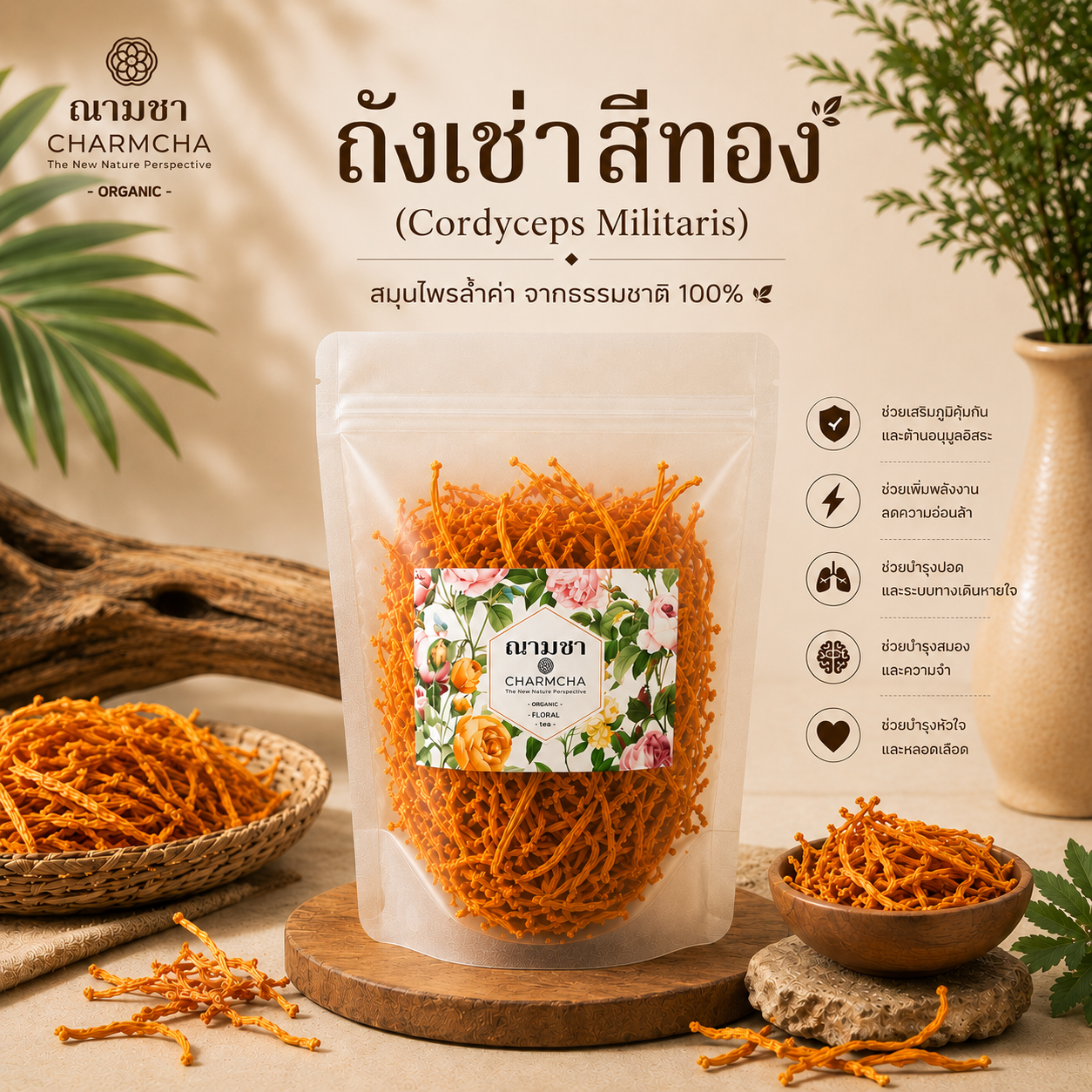 ถังเช่าสีทอง (Cordyceps Militaris) กระตุ้นระบบภูมิต้านทานของร่างกาย ป้องกันการอักเสบ  ต้านเบาหวาน ชาสมุนไพร ชาดอกไม้ ฌ