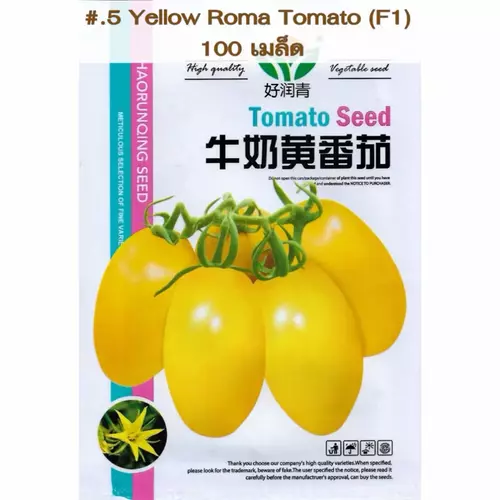 75539