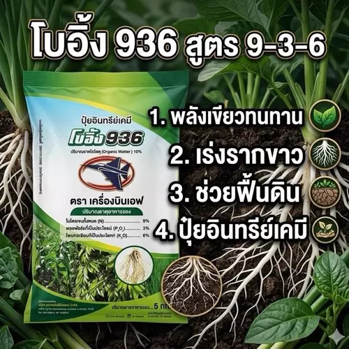 ปุ๋ยอินทรีย์เคมี เร่งรากขาว ใบเขียวทนทาน ฟื้นฟูดิน ตราเคร่องบินเอฟ แบ่งขาย1กิโล