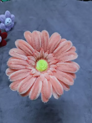 143855