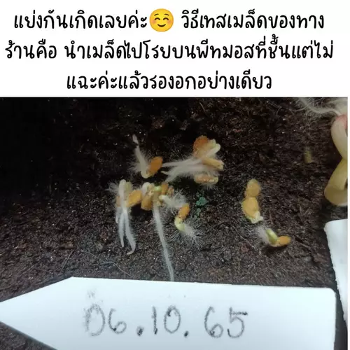 357922610