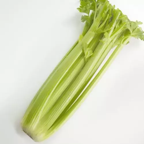 75653