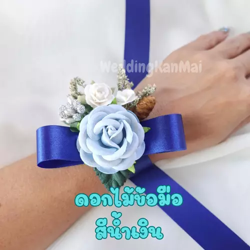 66725466