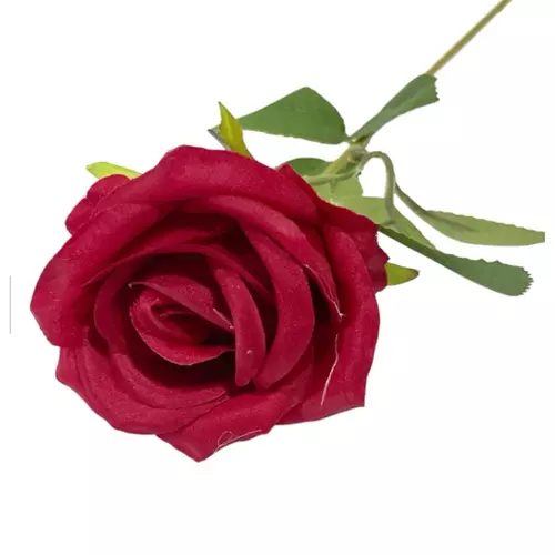 44534
