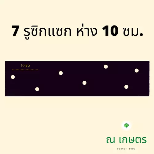 360343196
