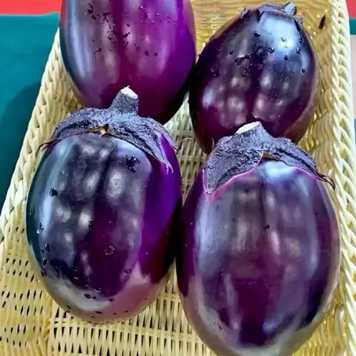 15462695