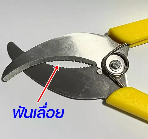 40162