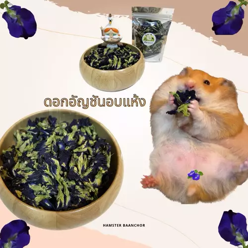 ￼อัญชันอบแห้งสำหรับแฮมสเตอร์ 20g.