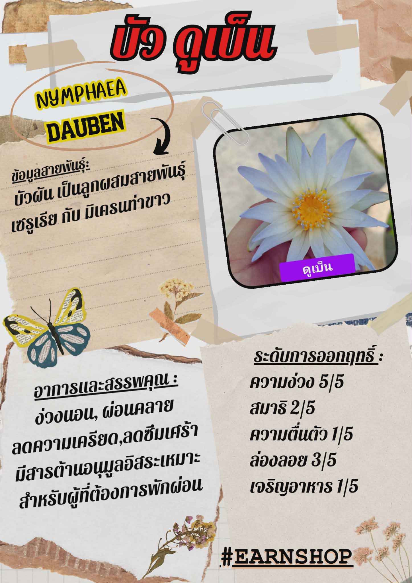 บัวอบแห้งดูเบ็นยานา ชงชาช่วยนอนหลับดีขึ้น ลดความเครียด ผ่อนคลาย
