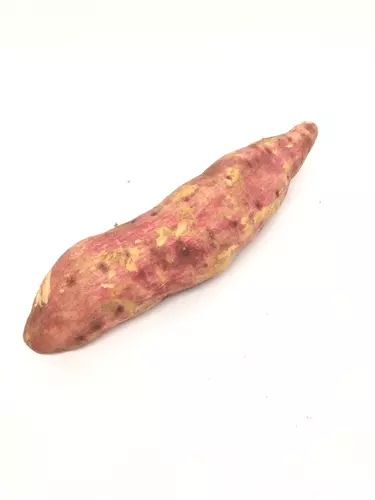 151585