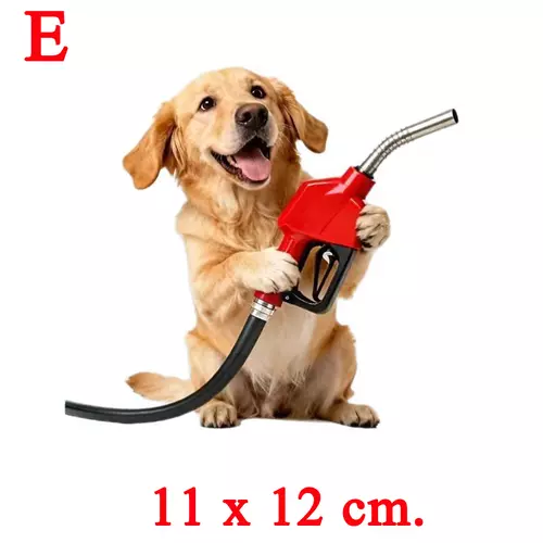 7421