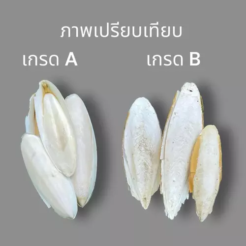156249