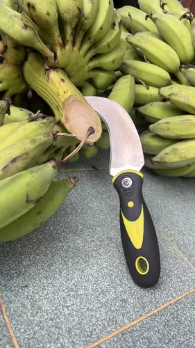 173885