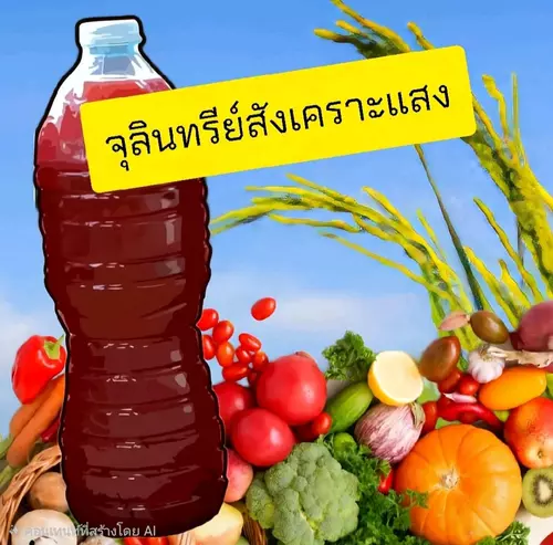 จุลินทรีย์​สังเคราะห์​แสง​ ขนาด​1.5 ลิตร