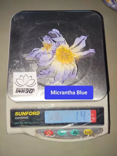68686518