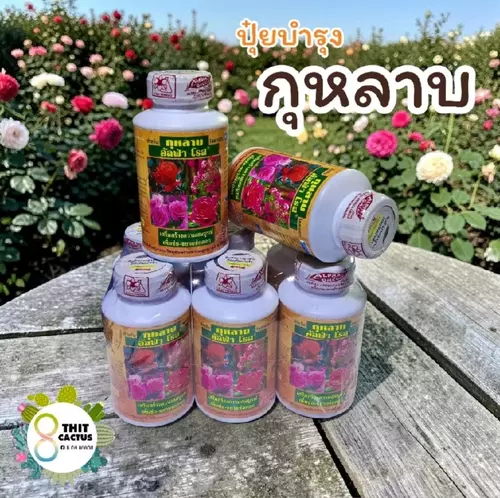 @ ปุ๋ยกุหลาบ // อัลฟ่า โรส 250cc // ปุ๋ยน้ำบำรุงกุหลาบ เสริมสร้างความสมบูรณ์เพิ่มช่อขยายช่อดอก