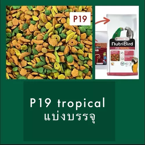 (แบ่งบรรจุ) NutriBird P19 tropical อาหารนก นูทรีเบิร์ดพี19 ทรอปิคอล