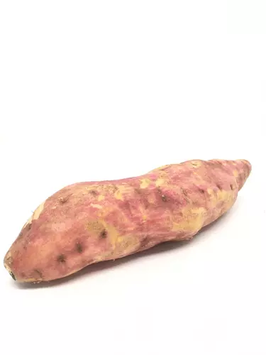151584