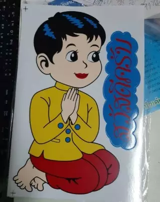 53695136