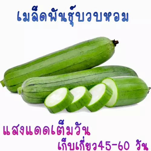 357865265