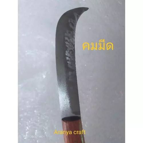 82556